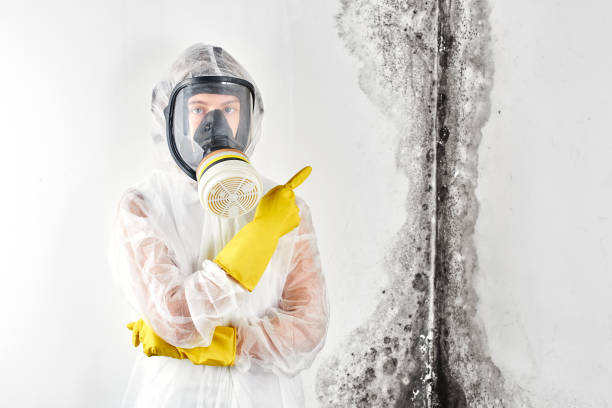 Forensic Mold Investigation in Queen City, TX