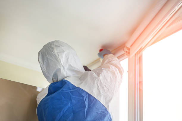 Best Mold Damage Restoration  in Queen City, TX