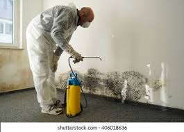 Best Industrial Mold Remediation  in Queen City, TX